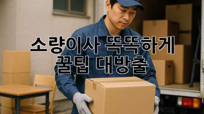 소량이사📦 똑똑하게! 꿀팁 대방출🍯